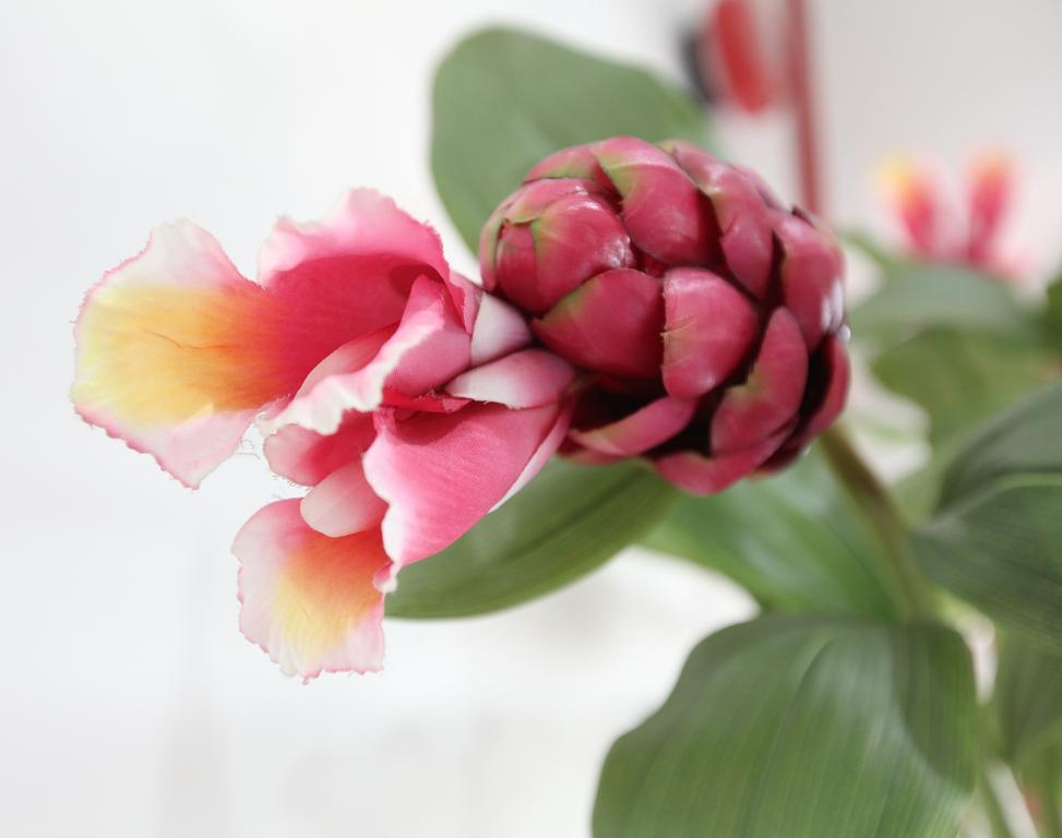 Gingerflower Boutique